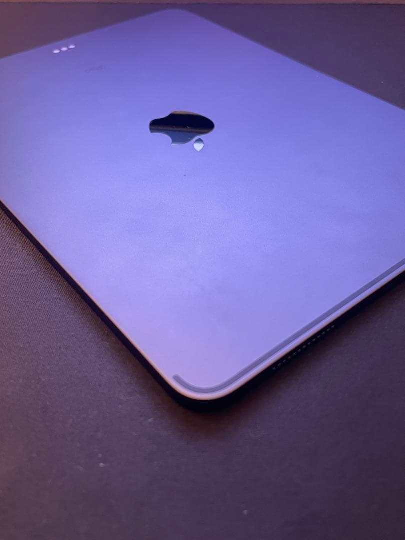 iPad Pro 11 （256GB）+ Apple Pencil 2 おまけ付