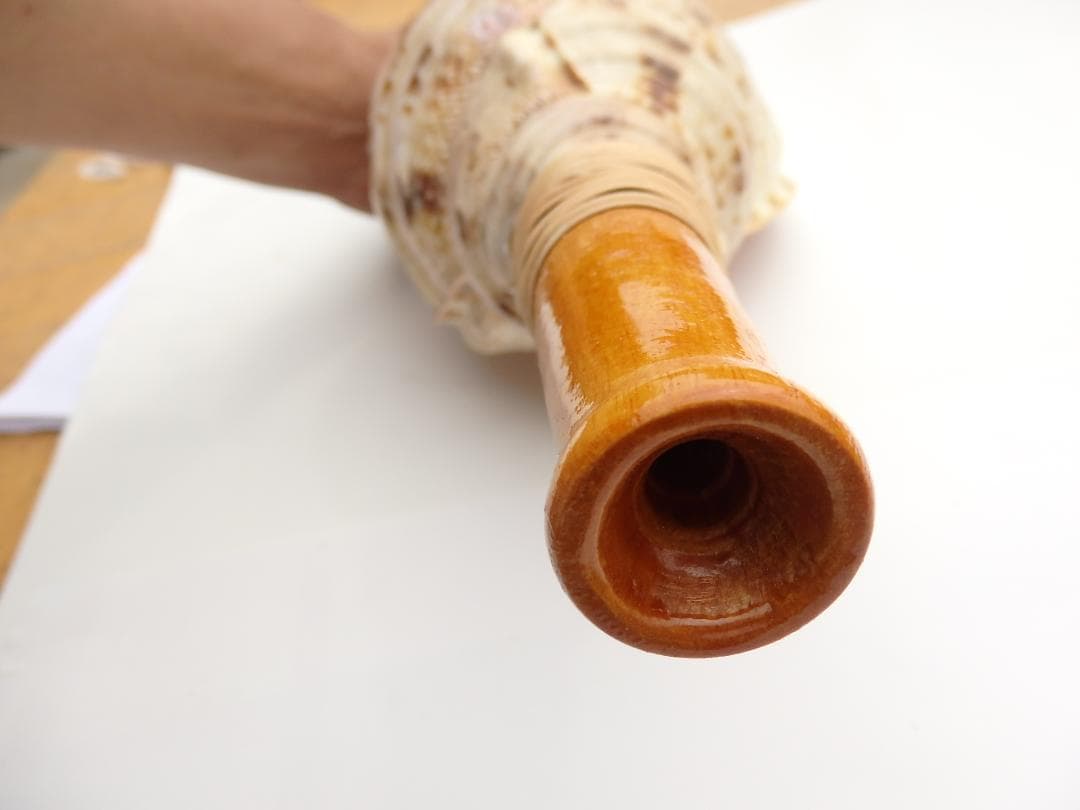 法螺貝 約35㎝ 木製歌口,新品 MH-456