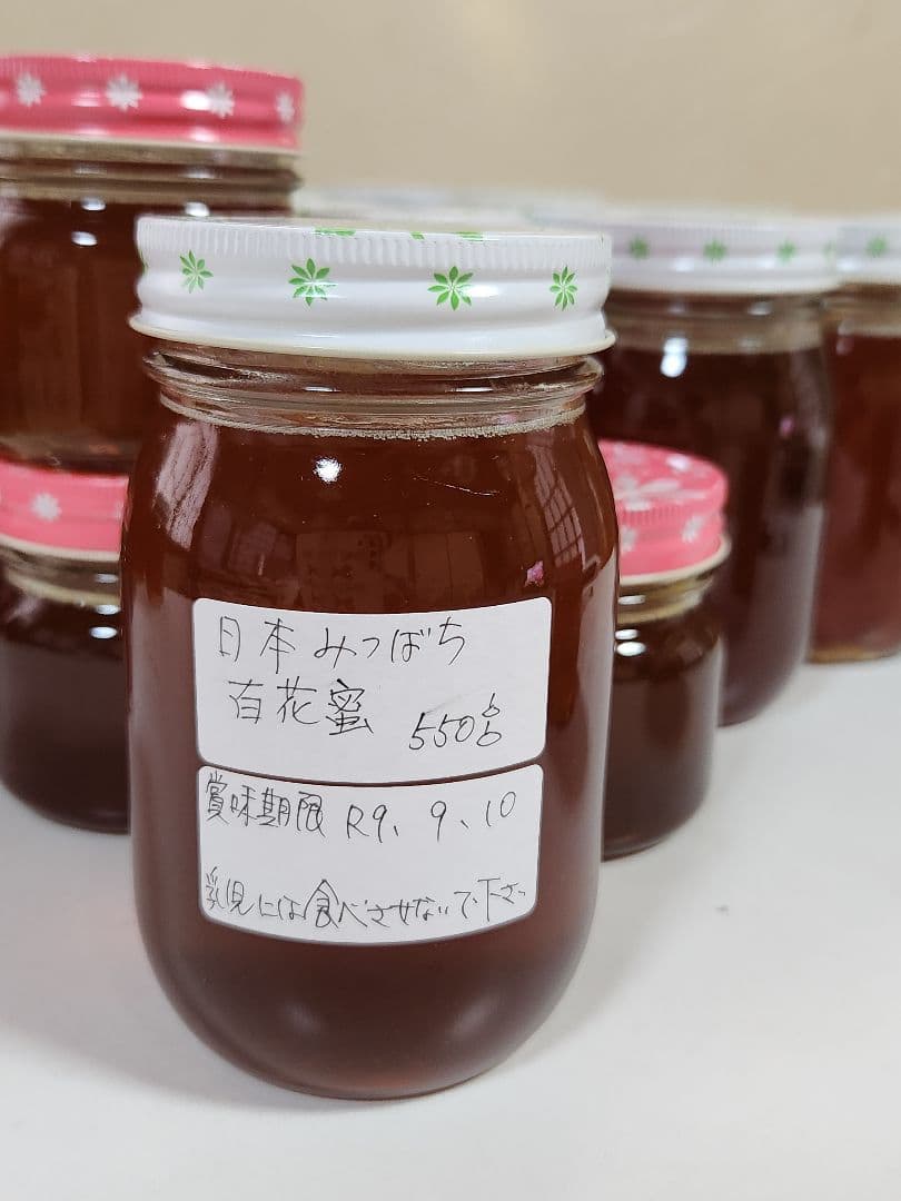 日本蜜蜂はちみつ　550g　3本