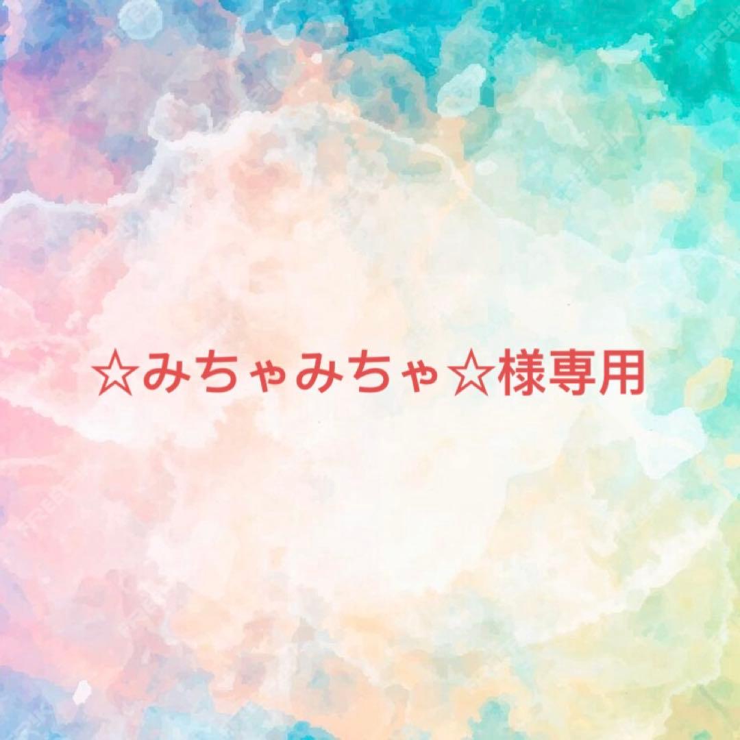 ☆みちゃみちゃ☆様確認専用専用ページ