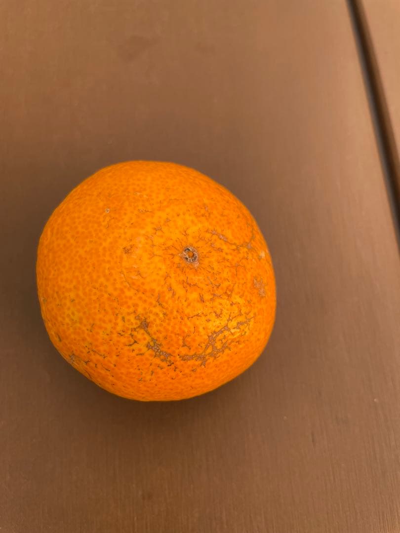 有田みかん　中生みかん　10キロ　5キロ✖️2個