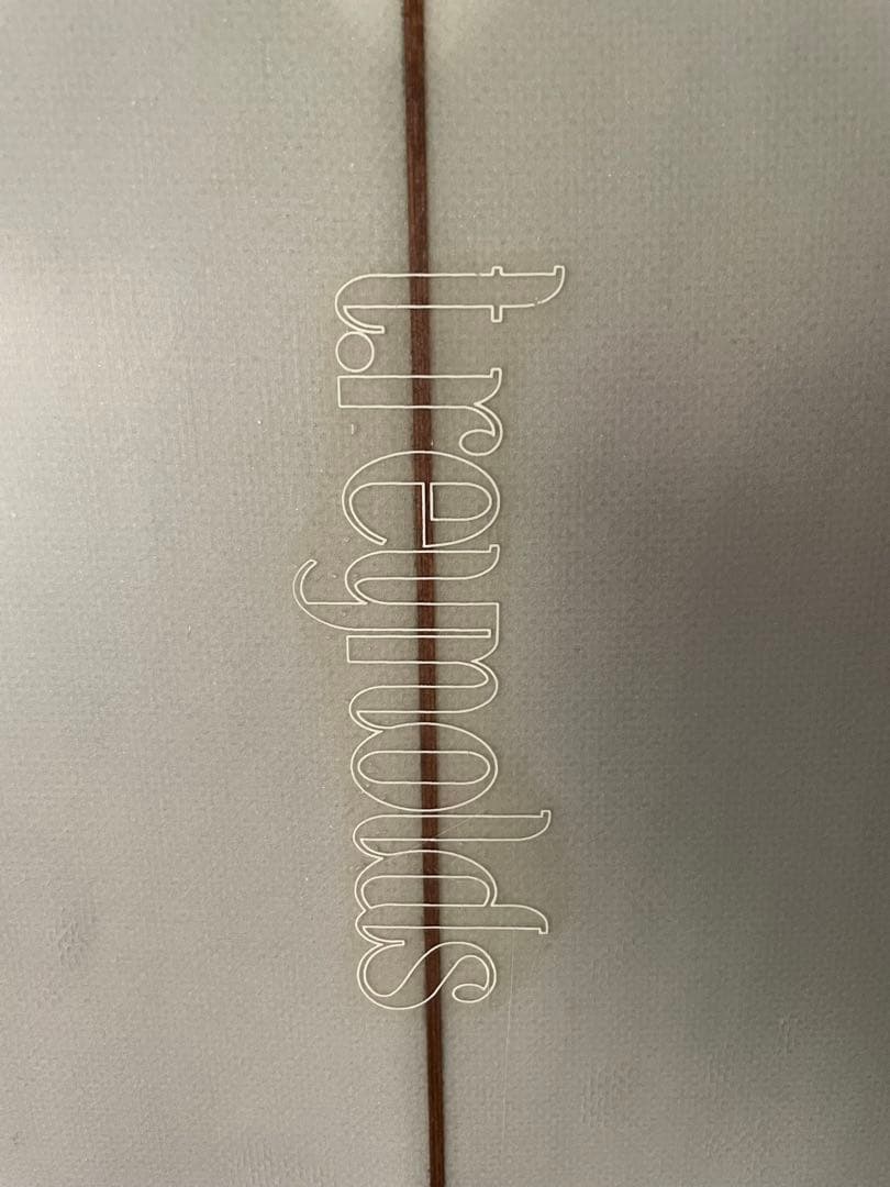 Travis Reynolds Tunnel Vision 6’6