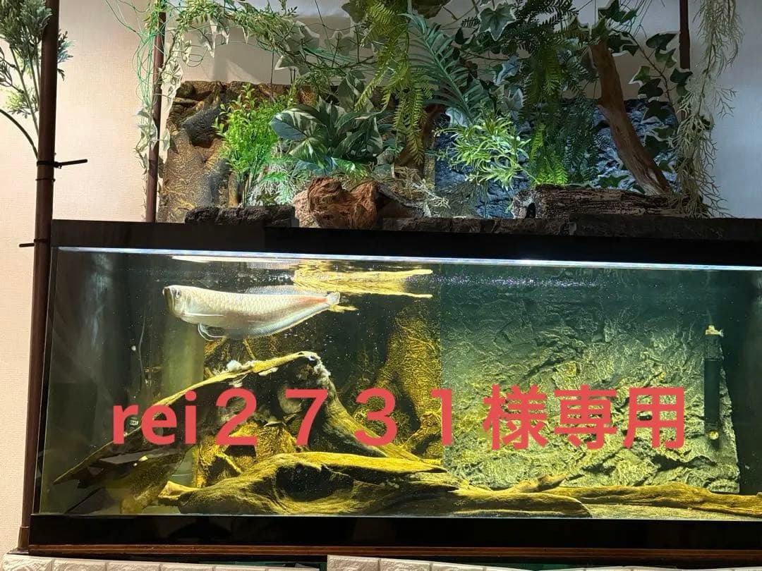 オーバーフロー濾過水セット(アクリル・120cm)　LED照明付(直接受渡歓迎)