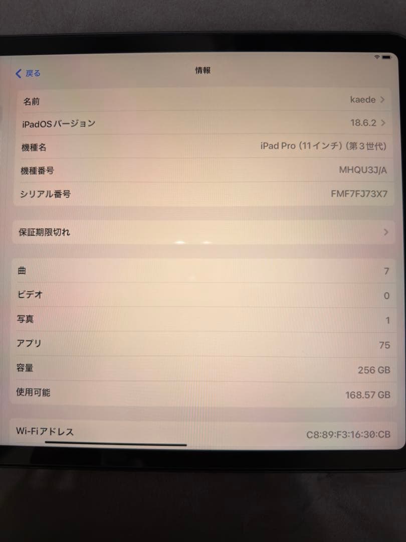 Apple iPad Pro (11インチ) 256GB スペースグレイ
