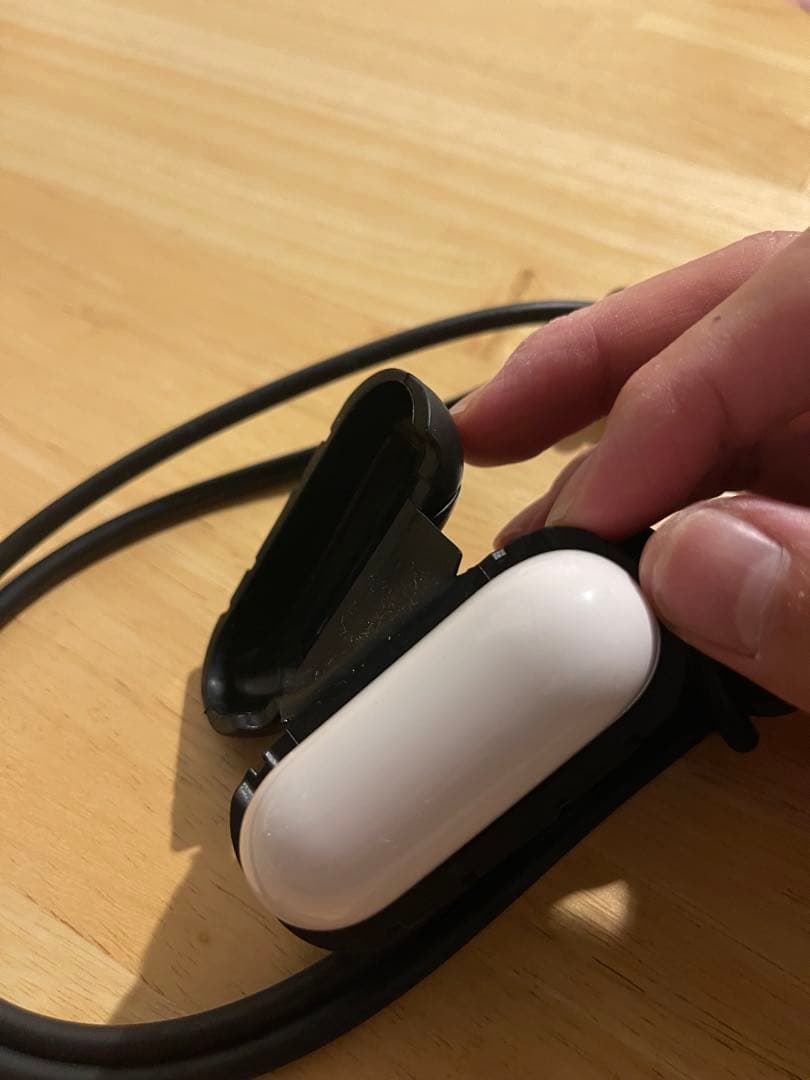 【最終値下げ】Bottega Veneta AirPods Pro ケース