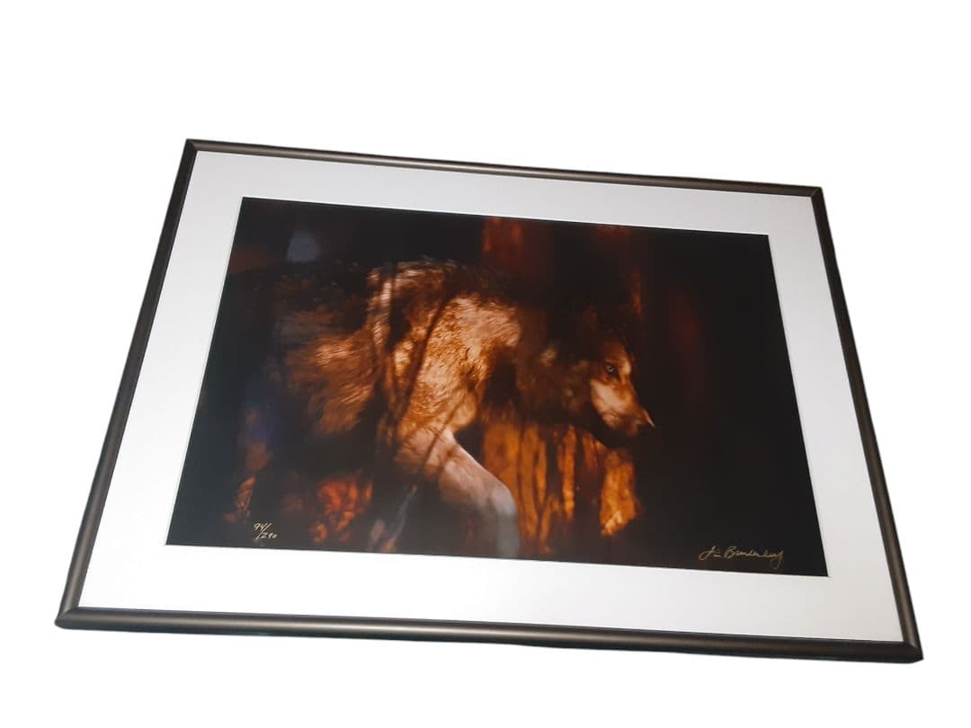 ジム・ブランデンバーグ 直筆サイン入り プリント 写真アート現状品 狼 オオカミ