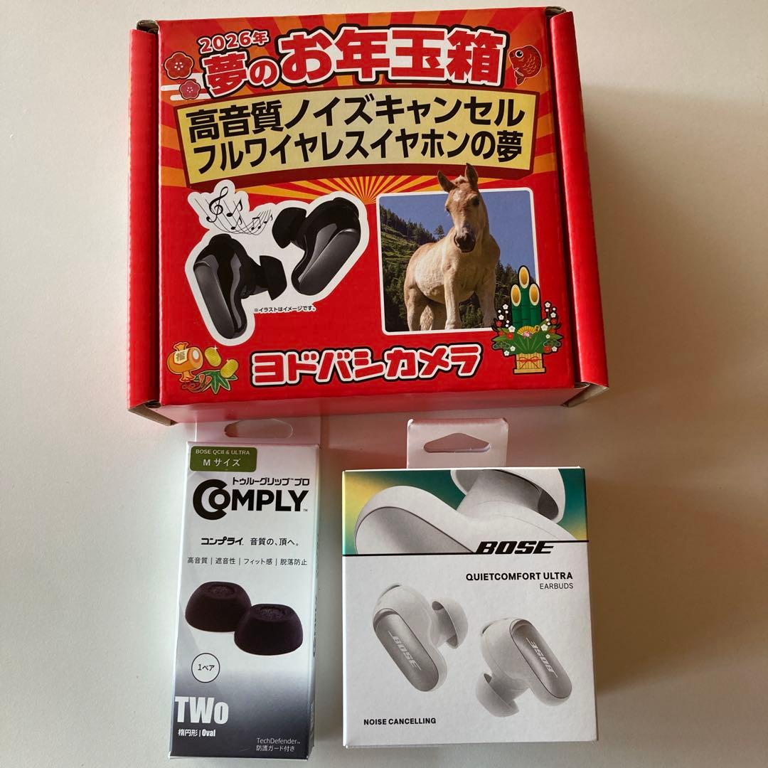 新品 お年玉箱 高音質ノイズキャンセル フルワイヤレスイヤホンの夢