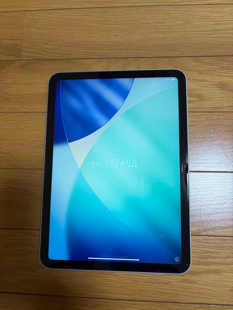 iPad 第10世代（64GB）シルバー　Wi-Fiモデル　おまけ付き