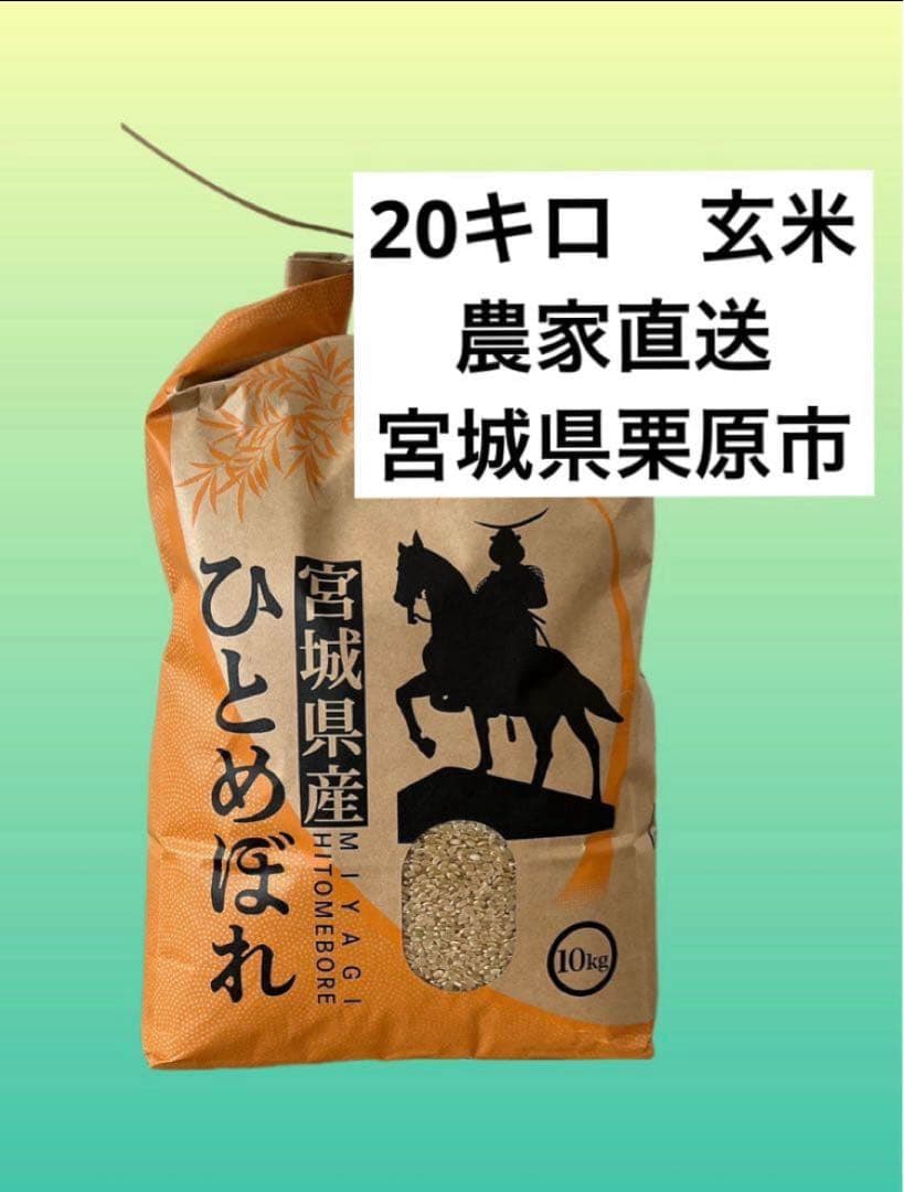 【農家直送】令和7年　宮城県栗原市産 ひとめぼれ 玄米20kg 環境保全米