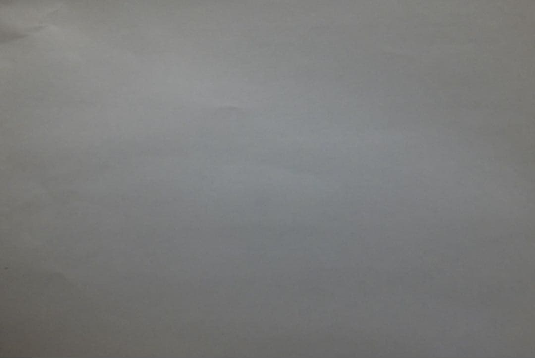 LUMIX Lx100 ささやかなおまけ付き