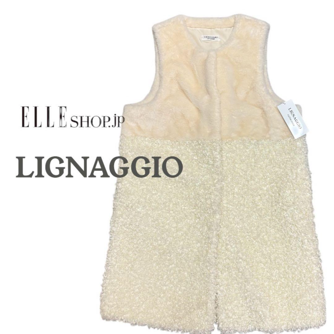 【新品】LIGNAGGIO collezione ファージレELLE SHOP