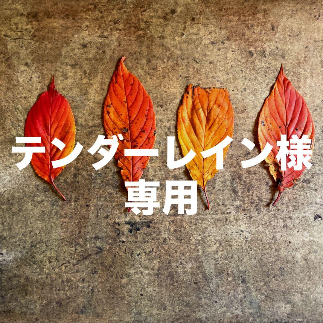 テンダーレイン おまとめ同梱