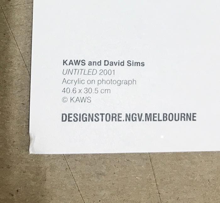 限定マット額装品/Kaws and David Sims Kate Moss 4