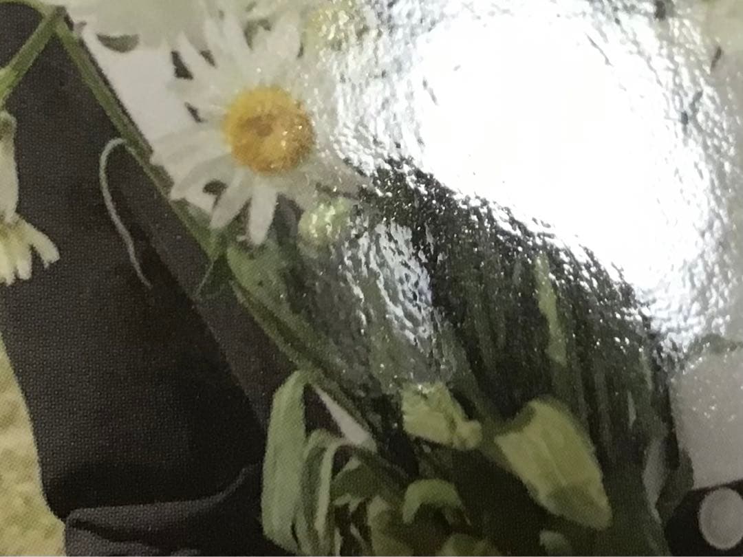 Straykids maxident US b&n トレカ ハン