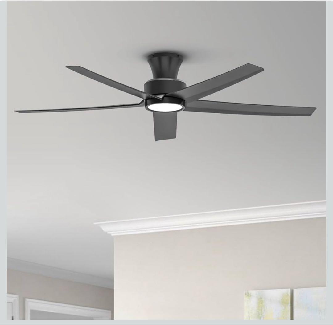 ブラックシーリングファンライト DCモーター