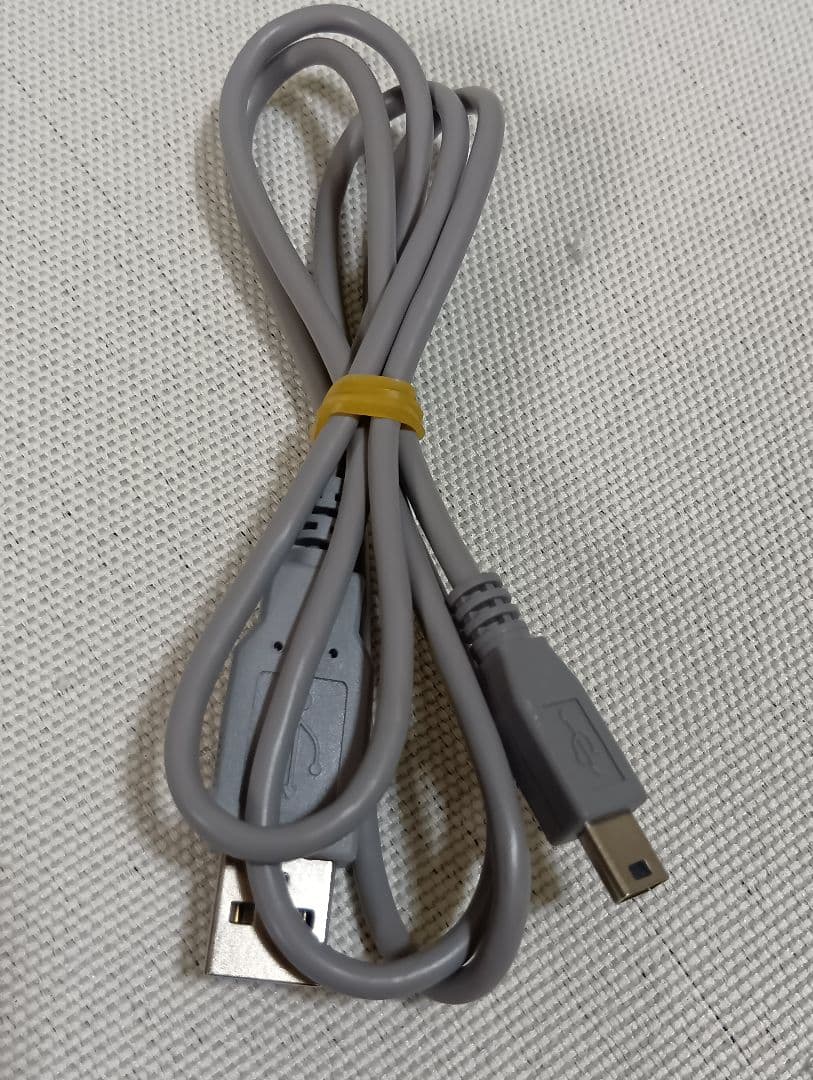 ビクター ビデオカメラ JVC Everio GZ-VX895-T（ブラウン）