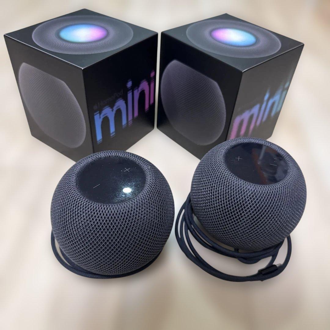 Pod mini スペースグレー 2個セット