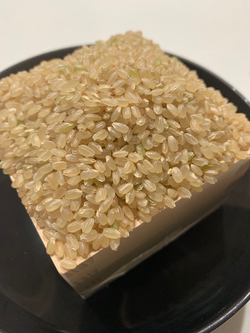 精米済み20キロ【農家直送！】新潟県産こしいぶき　特別栽培米　7年産　低温冷蔵