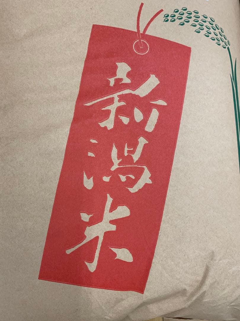 精米済み20キロ【農家直送！】新潟県産こしいぶき　特別栽培米　7年産　低温冷蔵