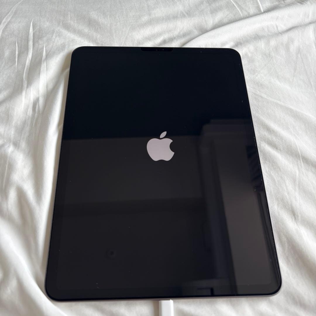 超美品　iPad Pro 第二世代 11インチ 256GB Wi-Fiモデル