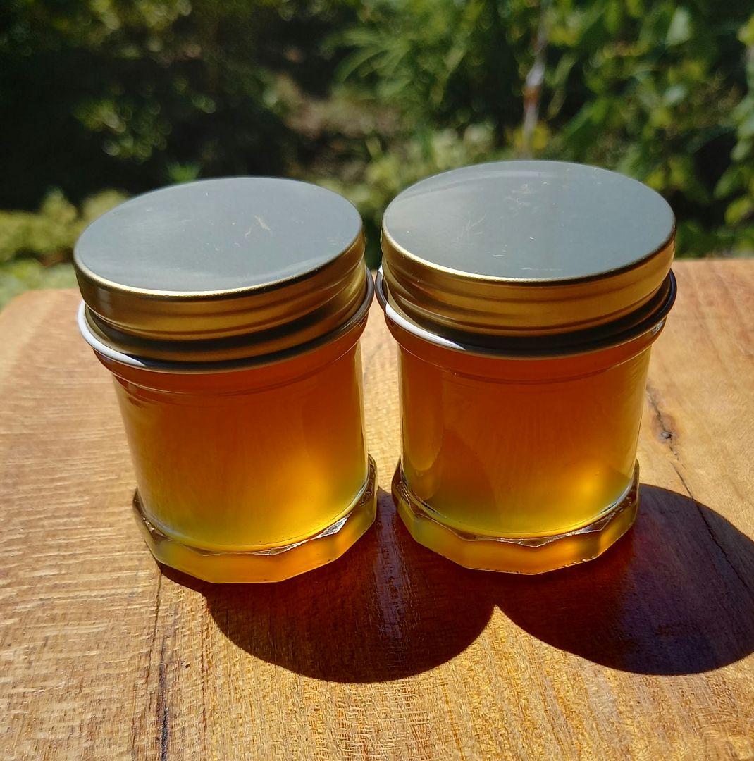 日本蜜蜂完熟ハチミツ（秋蜜、600g✕2瓶）