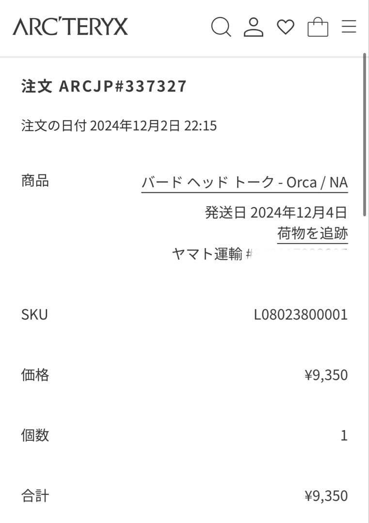 【正規品】Arc'teryx Bird Head Toque Orca ビーニー