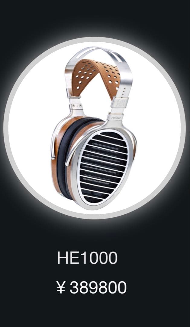 値下げ❣️❣️❣️HIFIMAN HE1000 ステルスマグネットプレーナ