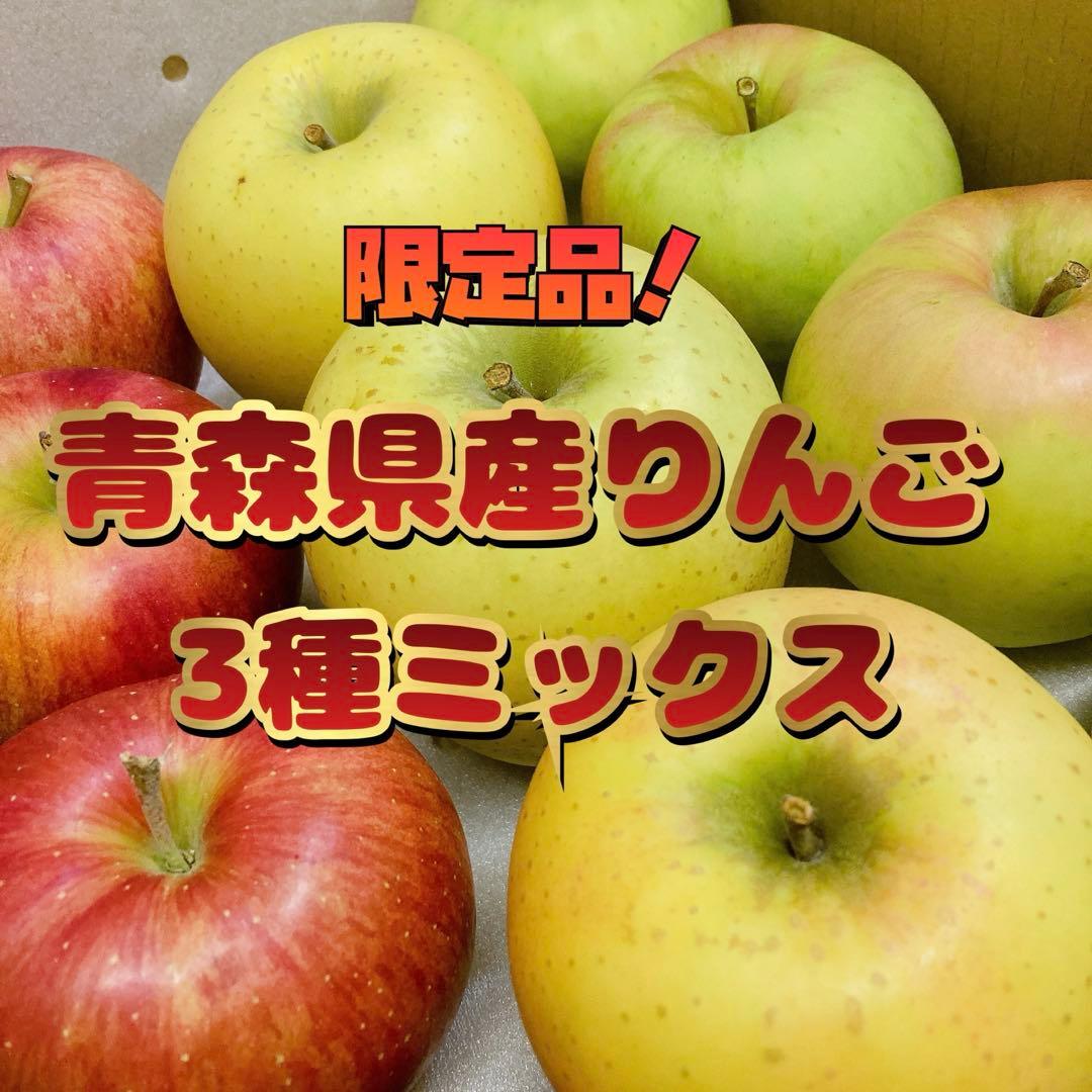 青森県産りんご✨10kg3種ミックス❣️ふじ✨シナノゴールド✨名月