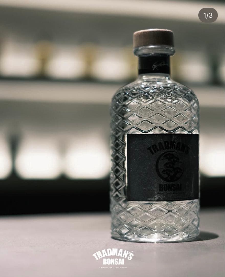 TRADMAN'S BONSAI - 松葉ジン