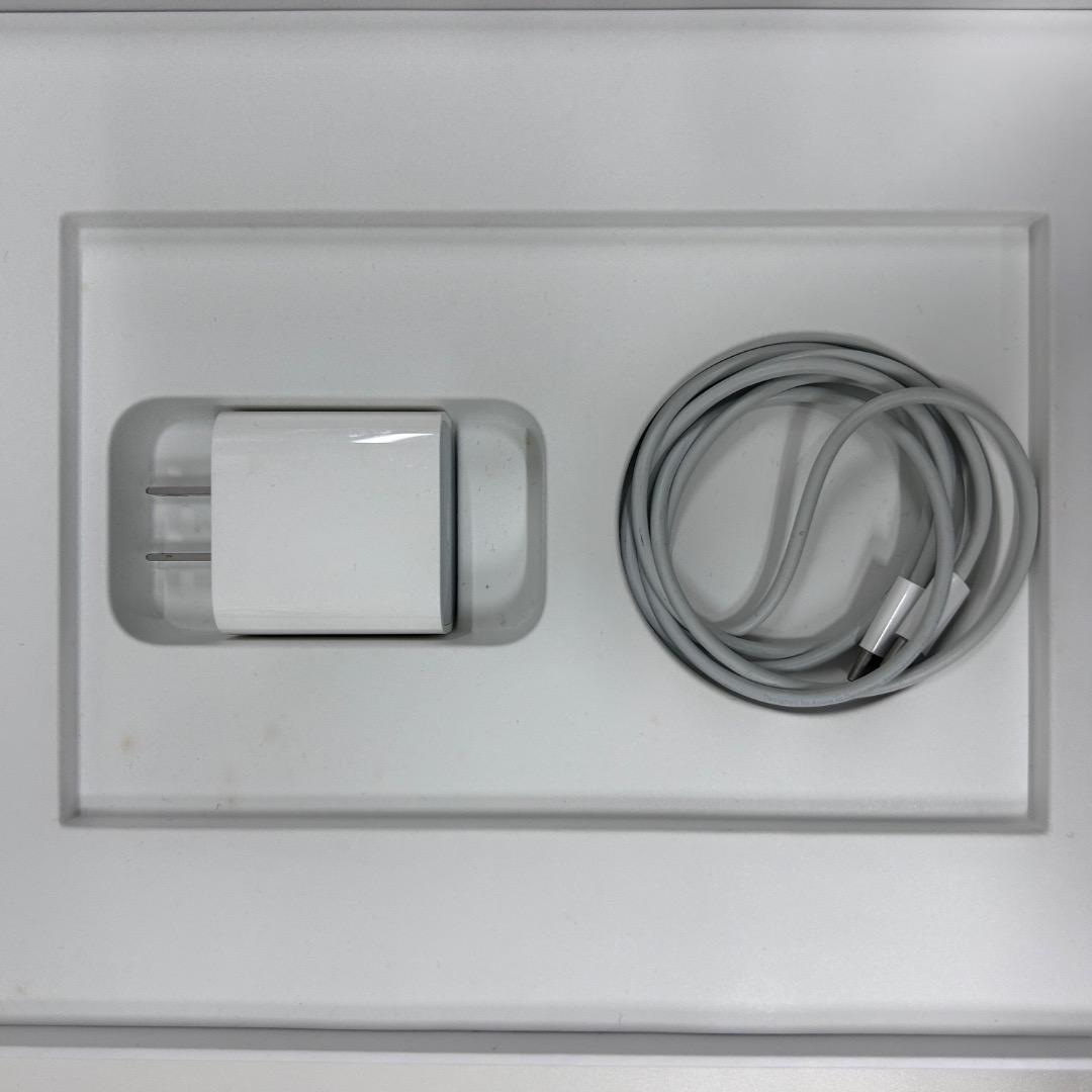 【付属品完備】iPadAir4/第4世代/64GB/WiFi