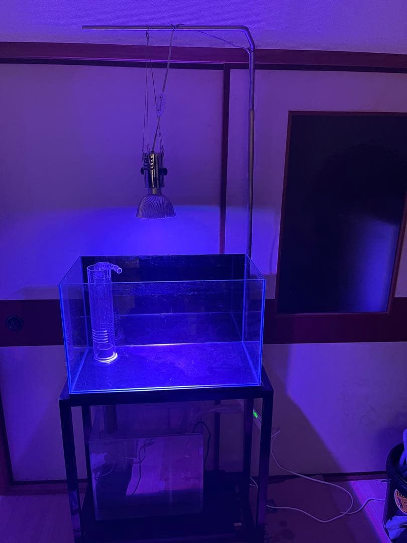 ‼️最終値下げ‼️オーバーフロー60cmガラス水槽フルセット