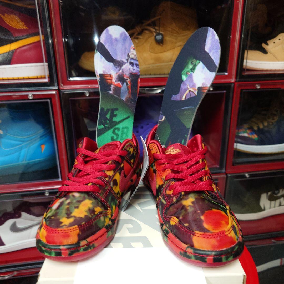 ✨TheWizardofOz × SBPSDunkLowPoppyField✨