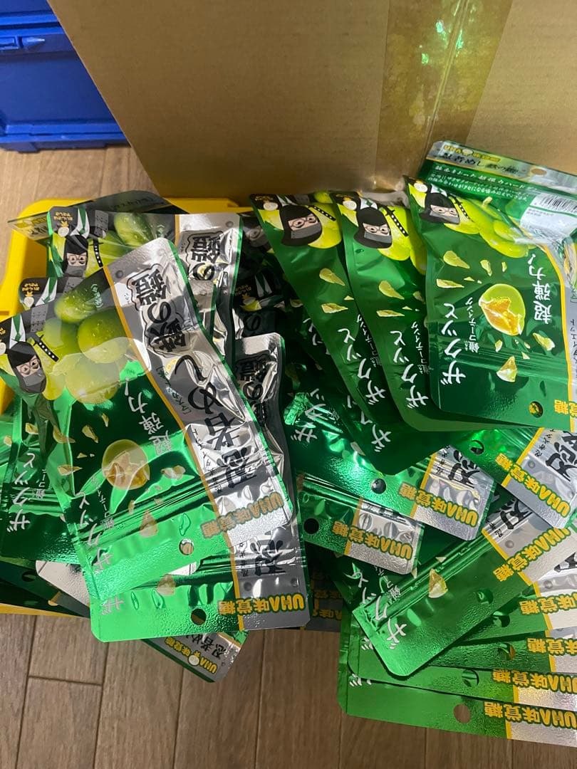 忍者めし鉄の鎧　マスカット味×50