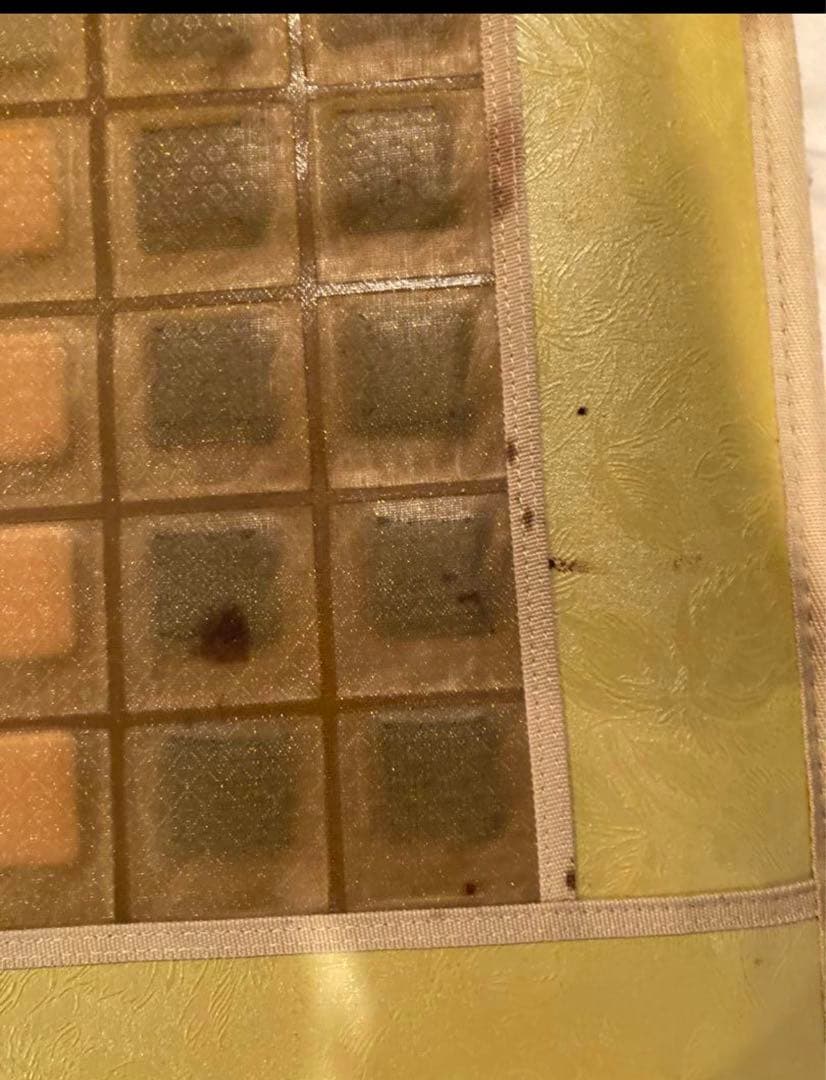 Tera 温熱マットDX 健康器具　温活