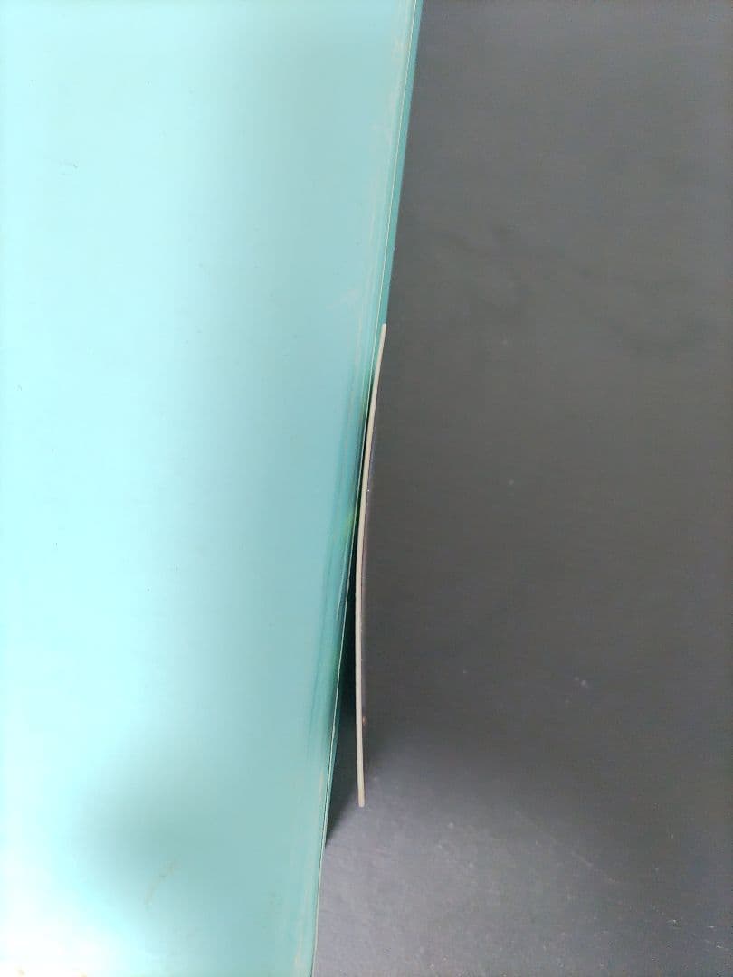 【ポケパーク限定】ポケモンカード11枚セット