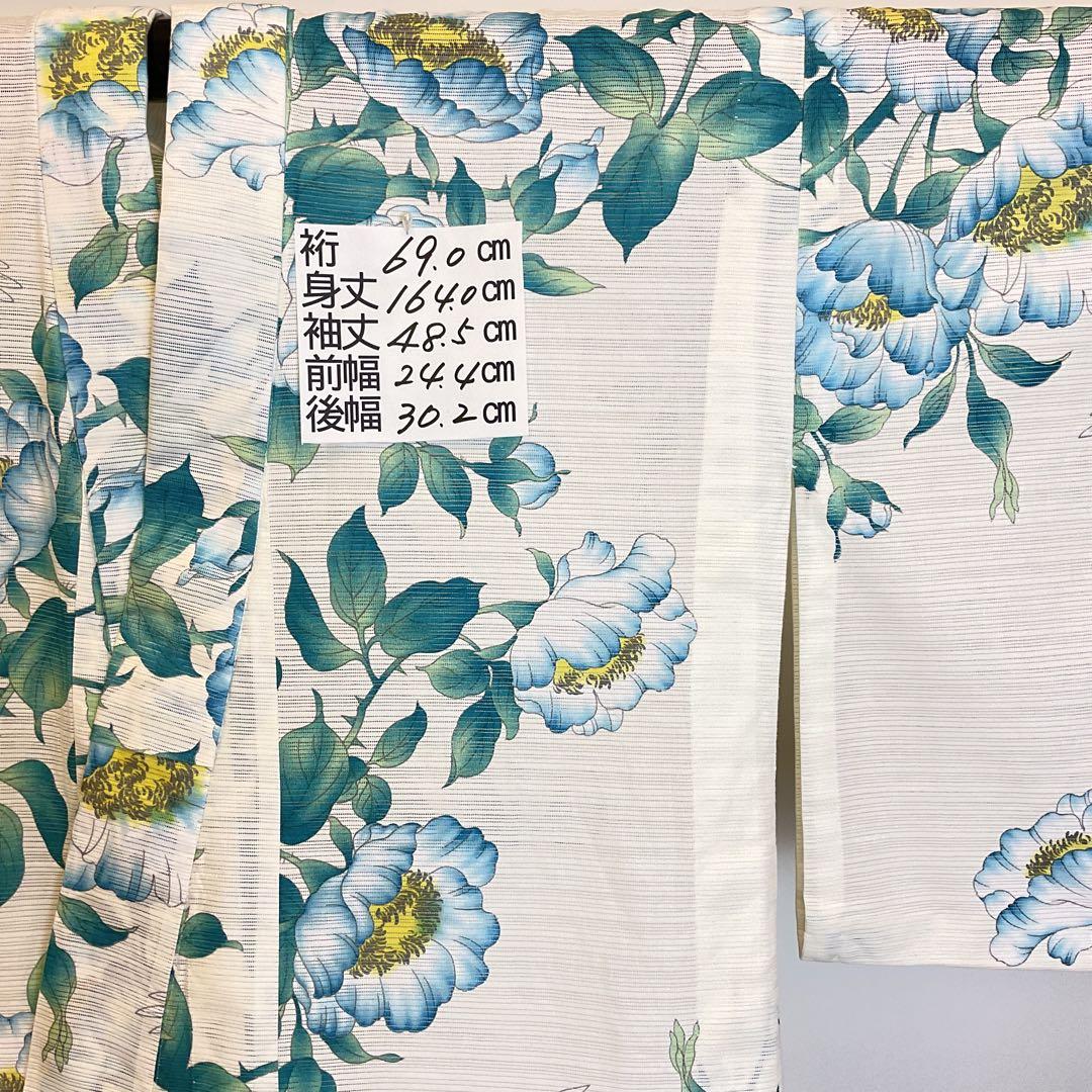 古今　綿絽浴衣　大胆で美しい野薔薇と綺麗なブルーバードの舞
