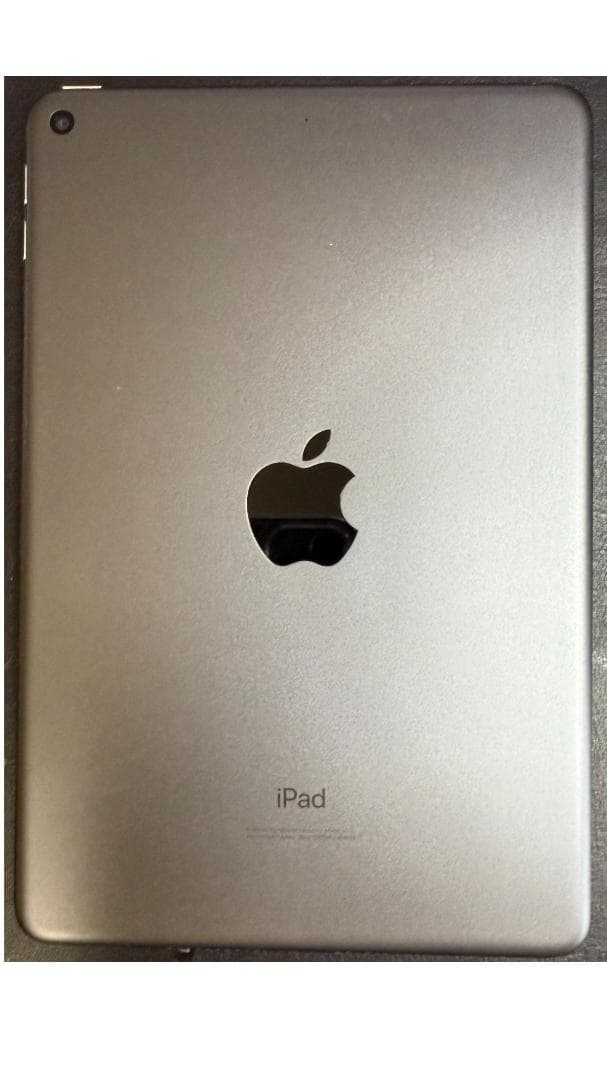 iPad Mini 第5世代スペースグレー 美品