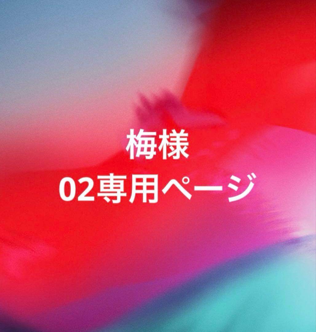 梅02ページ