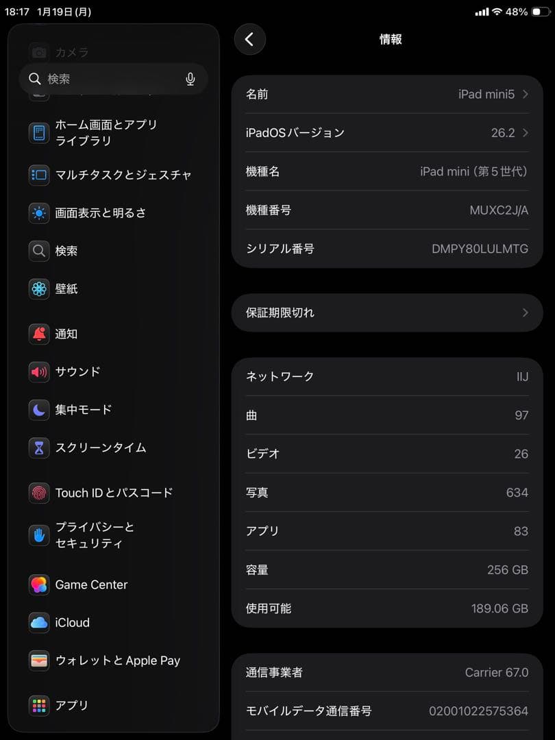 iPad mini 第5世代 256GB Cellular モデル ※ペン付き