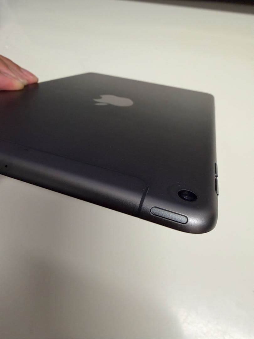 iPad mini 第5世代 256GB Cellular モデル ※ペン付き