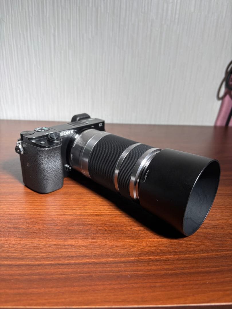 SONY ミラーレスカメラα6100本体+ズームレンズセット