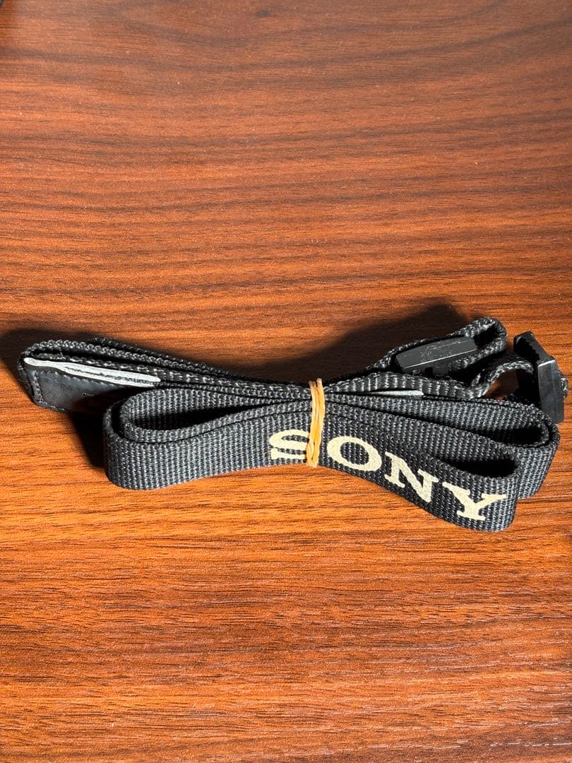 SONY ミラーレスカメラα6100本体+ズームレンズセット