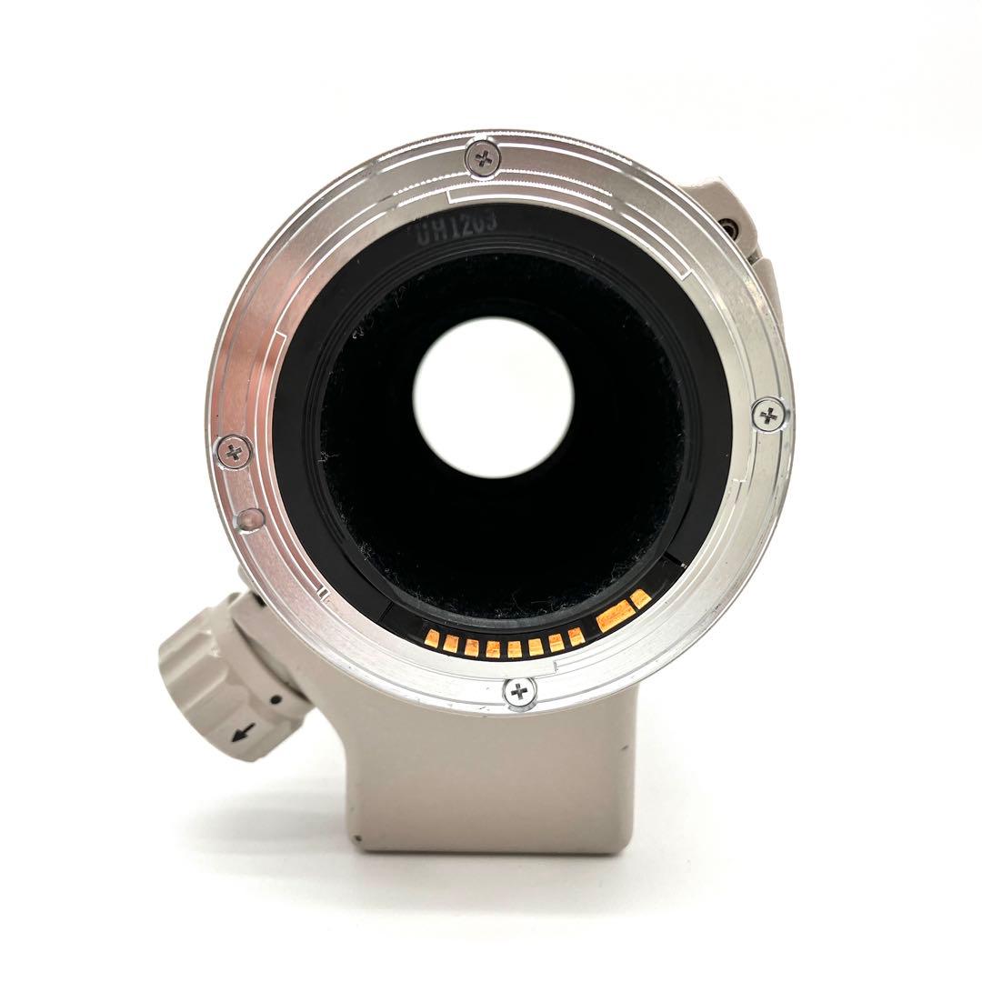 Canon EF 300mm F4単焦点レンズ