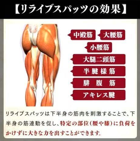 リライブ レディース インナー上下セット LLサイズ 新品未使用