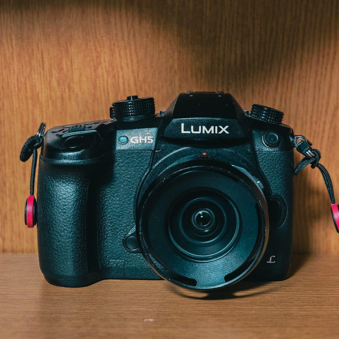 (専用)Lumix GH5/14-42mmレンズセット【vlogアプデ済み】