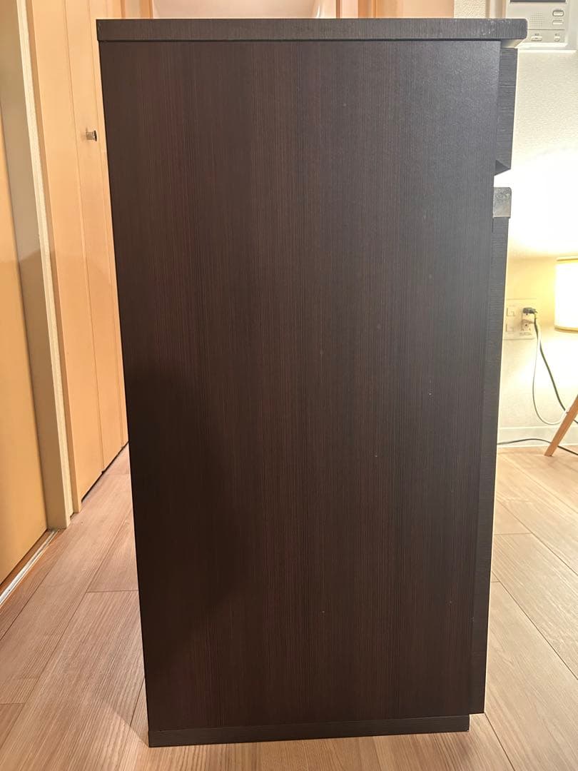 クロシオ　分別ゴミ箱　ダイニングダストボックス　2D ブラウン