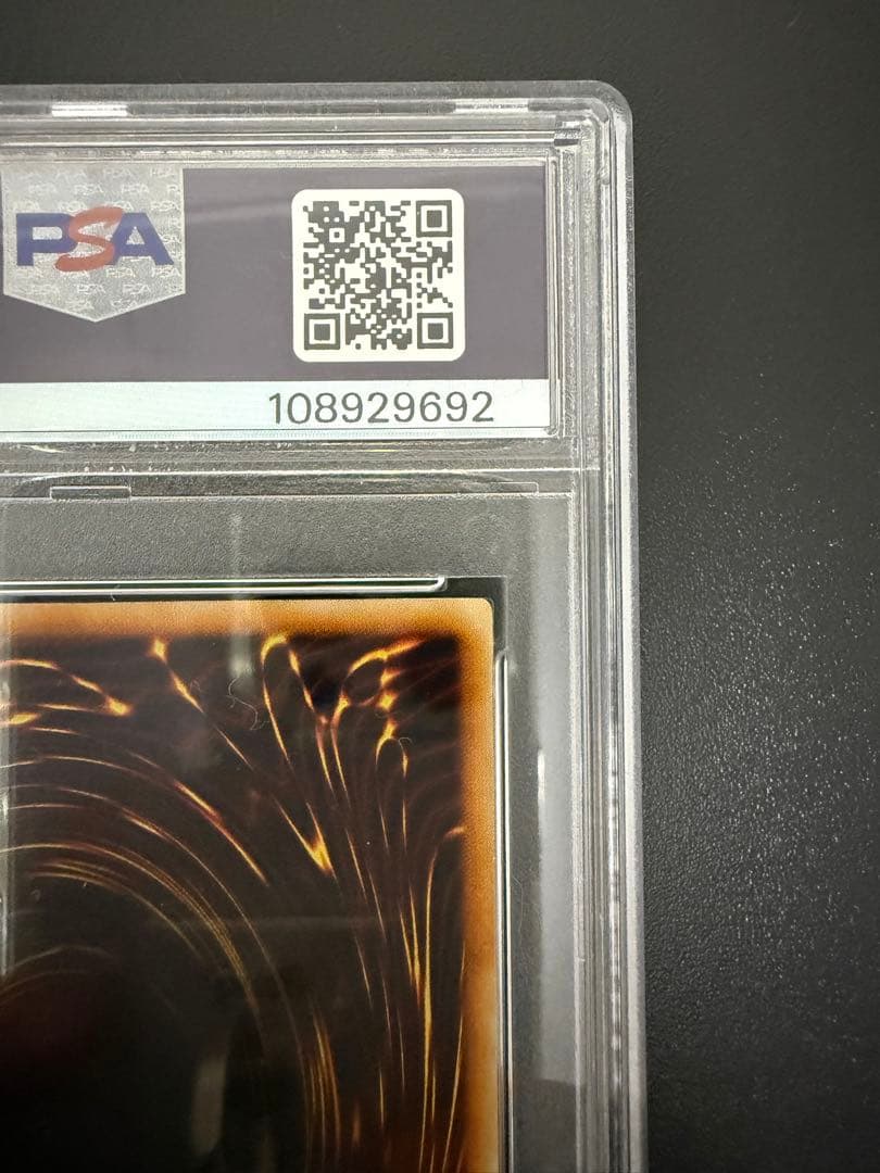 遊戯王　青眼の白龍　初期スターターボックス　PSA8 ブルーアイズ ホワイト