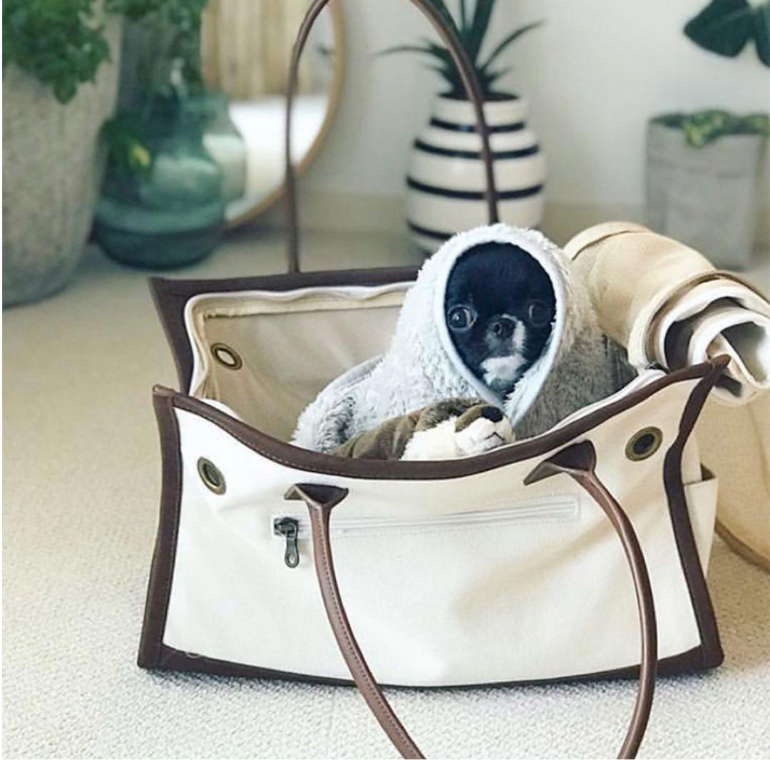 【citydog】新品未使用　バイピングトートキャリー