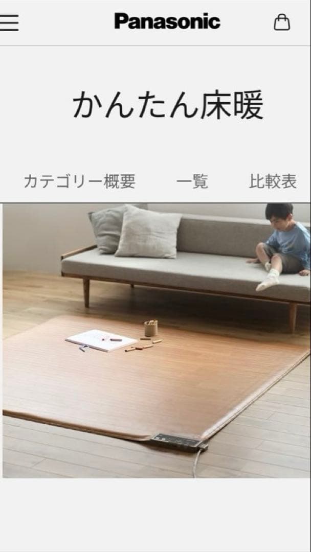 Panasonic かんたん床暖　DC-2V5-MT カーペット 2畳