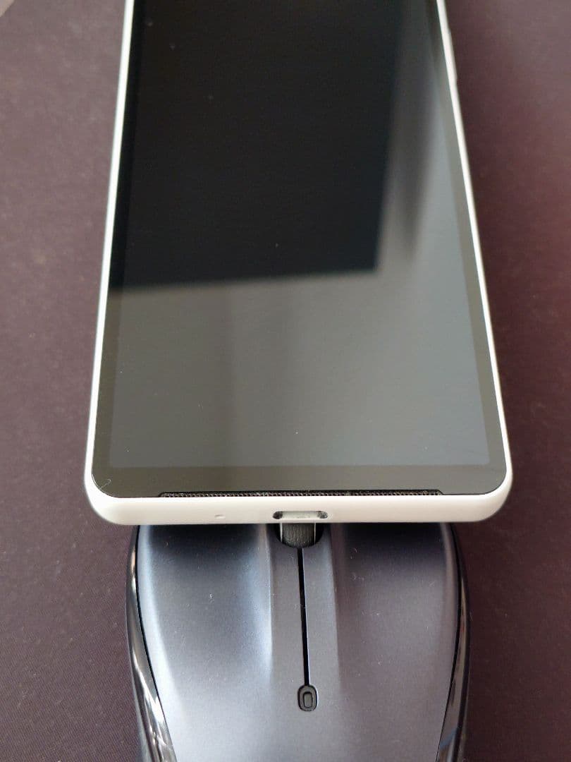 Sony Xperia 10 ⅴ SIMフリー ホワイト 本体 XQ-DC44